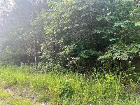 W Sunset Drive, Diamond City, AR 72644