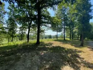 1685 Cr 72, Norfork, AR 72658 photo 15
