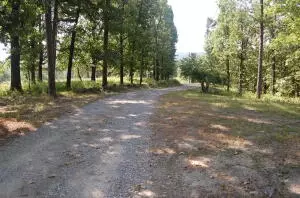 1685 Cr 72, Norfork, AR 72658 photo 14
