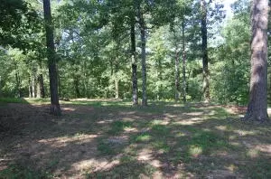 1685 Cr 72, Norfork, AR 72658 photo 11