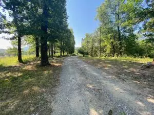 1685 Cr 72, Norfork, AR 72658 photo 16