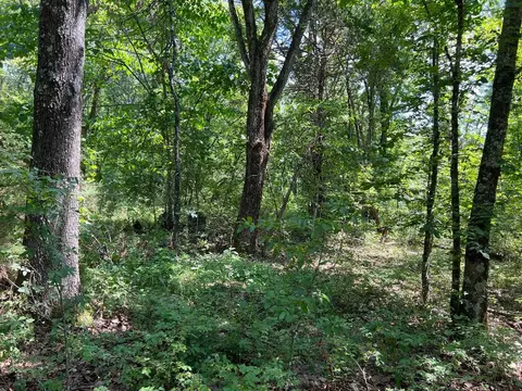 5 49 Acres On Meadow Creek Dr, Harrison, AR 72601