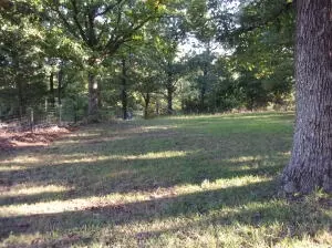 Hc 70 Box 83, Jasper, AR 72641 photo 21