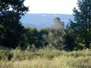Hc 70 Box 83, Jasper, AR 72641 photo 27