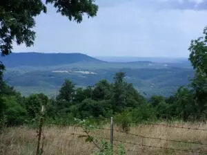 Hc 70 Box 83, Jasper, AR 72641 photo 9