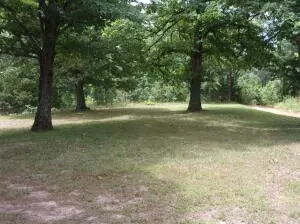 Hc 70 Box 83, Jasper, AR 72641 photo 13