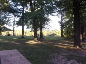 Hc 70 Box 83, Jasper, AR 72641 photo 28