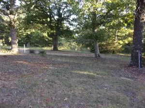 Hc 70 Box 83, Jasper, AR 72641 photo 29