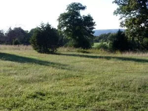 Hc 70 Box 83, Jasper, AR 72641 photo 26