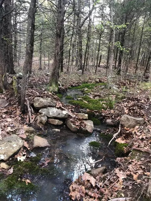 lot2 Moonbeam Dr, Harrison, AR 72601