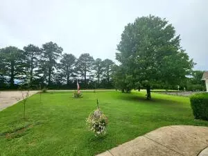 5517 Sand Flat Rd, Harrison, AR 72601 photo 2