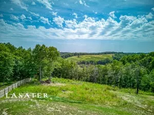 6209 Harmon Rd, Harrison, AR 72601 photo 3