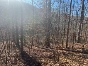 000 Nc 8800 Smith Mt Rd, Parthenon, AR 72666
