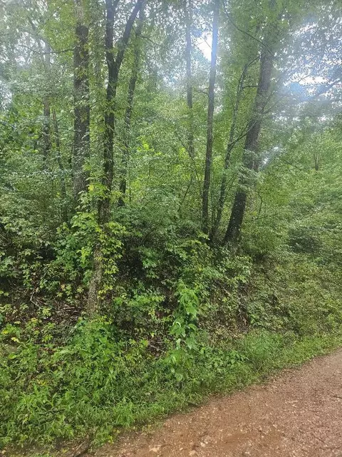 Terrapin Road, Harrison, AR 72601