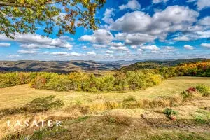 7221 Ar-7, Jasper, AR 72641 photo 20