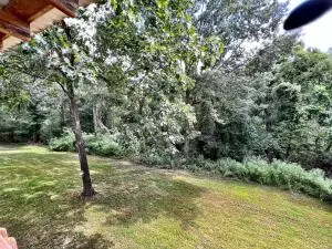 1406 Quilt Ln, Harrison, AR 72601 photo 22