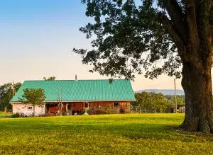 1823 Windsor Hls Rd, Marshall, AR 72650