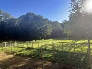 1943 Hawkins Rd, Harrison, AR 72601 photo 11