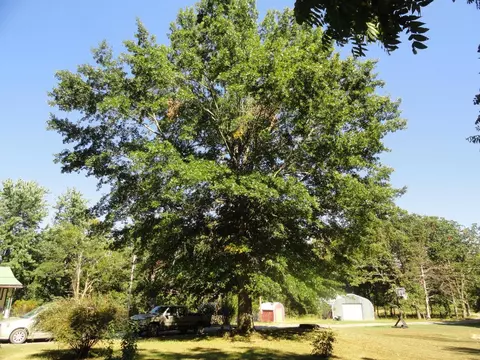 247 Tee Four Dr, Marshall, AR 72650 photo 22