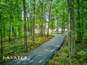 6110 Bellefonte Rd, Harrison, AR 72601 photo 48