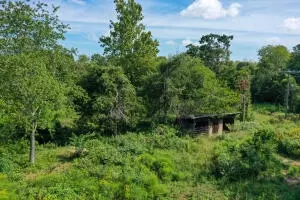 10872 W A W Hwy 392, Harrison, AR 72601 photo 40