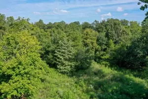 10872 W A W Hwy 392, Harrison, AR 72601 photo 41