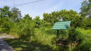 10872 W A W Hwy 392, Harrison, AR 72601 photo 35