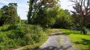10872 W A W Hwy 392, Harrison, AR 72601 photo 37