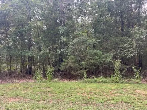 lot S 3031 W Elm St, Diamond City, AR 72644