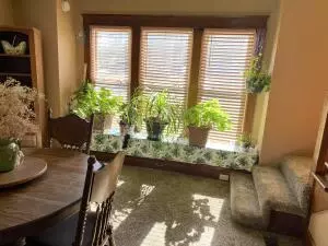 622 S Cherry St, Harrison, AR 72601 photo 7