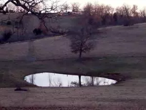 12500 E Hwy 62, Harrison, AR 72601 photo 3