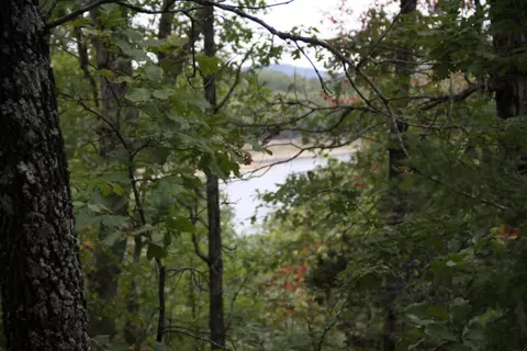 lot42 Webbs Landing Ln, Yellville, AR 72687