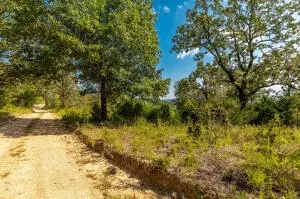 Tract 2 Mc 8025, Peel, AR 72668