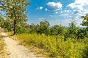 Tract 3 Mc 8025, Peel, AR 72668