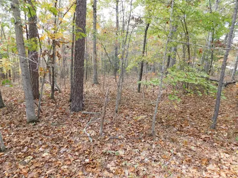 Hwy 74 E Tract 2, Jasper, AR 72641
