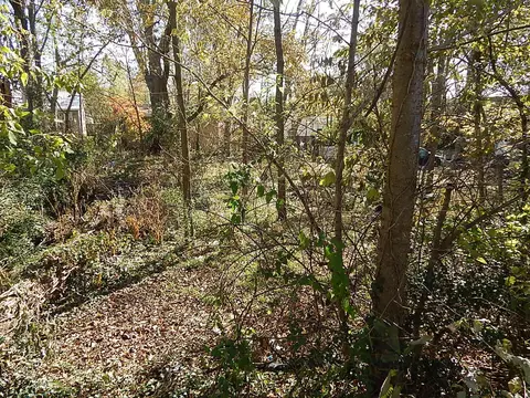 Campbell Street, Berryville, AR 72616
