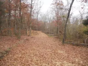 Nc 3510, Western Grove, AR 72685