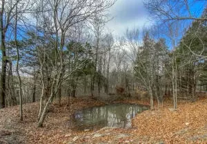 10168 Dubuque Rd, Omaha, AR 72662 photo 8
