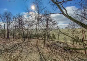 10168 Dubuque Rd, Omaha, AR 72662 photo 10