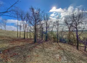 10168 Dubuque Rd, Omaha, AR 72662 photo 9
