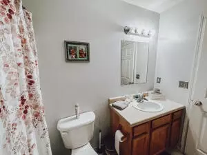 1007 Lilly St, Harrison, AR 72601 photo 28