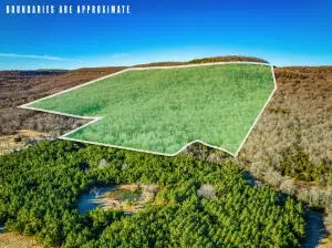S Trotter Drive, Harrison, AR 72601