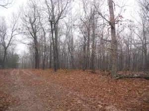 Vista Road, Western Grove, AR 72685