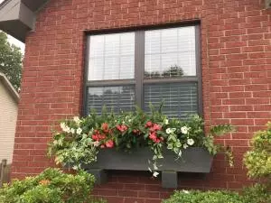 3020 Jade Dr, Harrison, AR 72601 photo 5