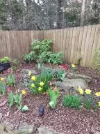 3020 Jade Dr, Harrison, AR 72601 photo 45