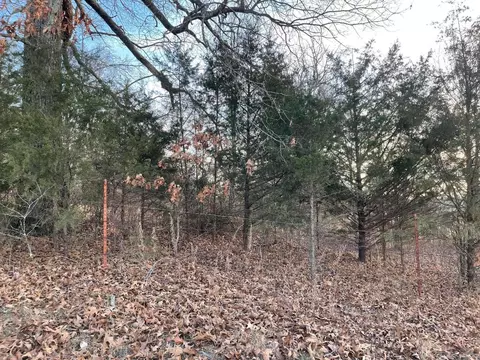 Keeter Lane, Harrison, AR 72601 photo 5