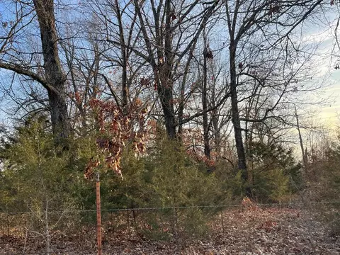 Keeter Lane, Harrison, AR 72601 photo 2
