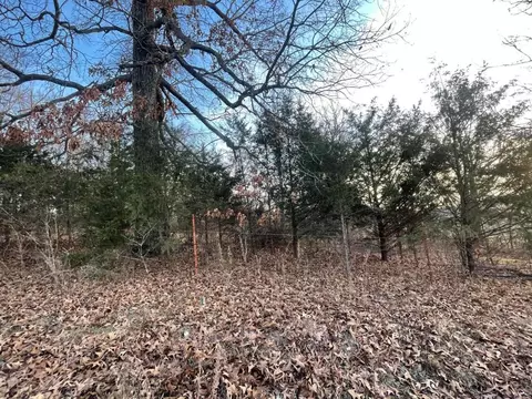 Keeter Lane, Harrison, AR 72601 photo 4