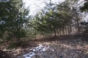 2853 Mountain Vista Rd, Harrison, AR 72601