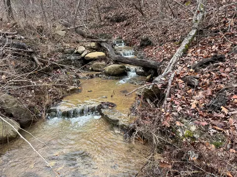 tbd Nc 6401, Jasper, AR 72641 photo 14